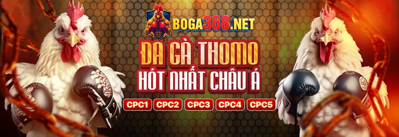 Sòng bạc B52 Club sôi động với các trò chơi cá cược trực tuyến